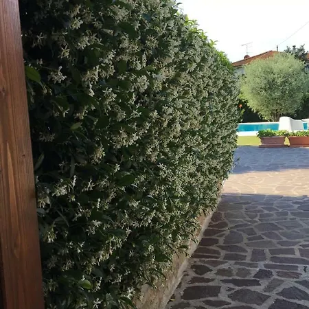 Casa Pietra Del Sole Villa Lucca